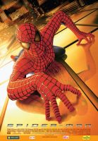 Napisy dla filmu Spider-Man