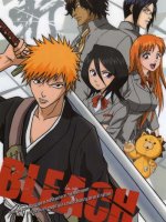 Napisy dla filmu Bleach